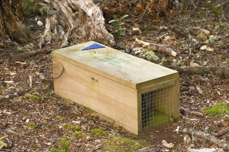 Type of Trap Used