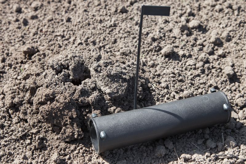 Wildlife Removal Service