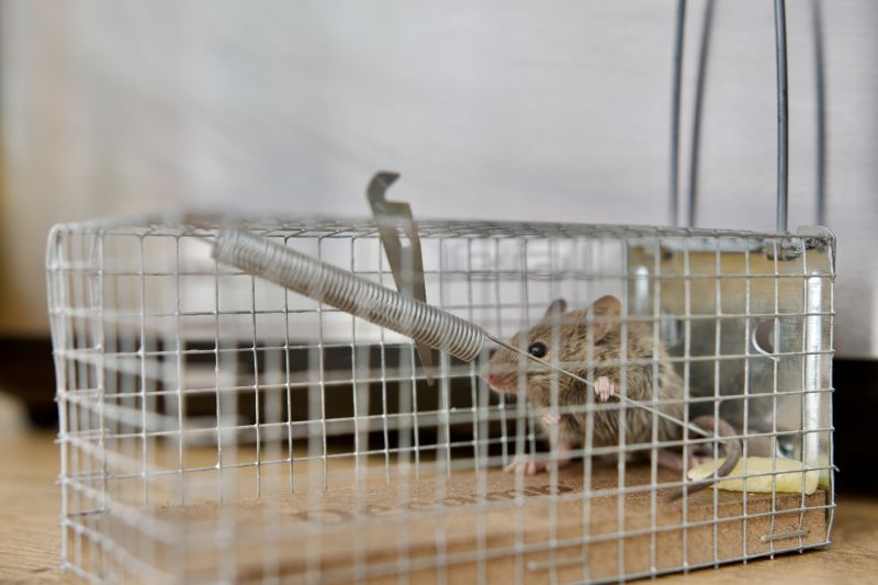 Inside of Trap
